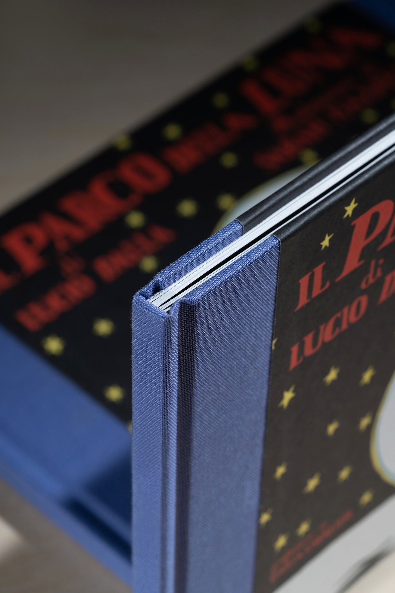 Libro Il Parco della Luna, Lucio Dalla dettaglio
