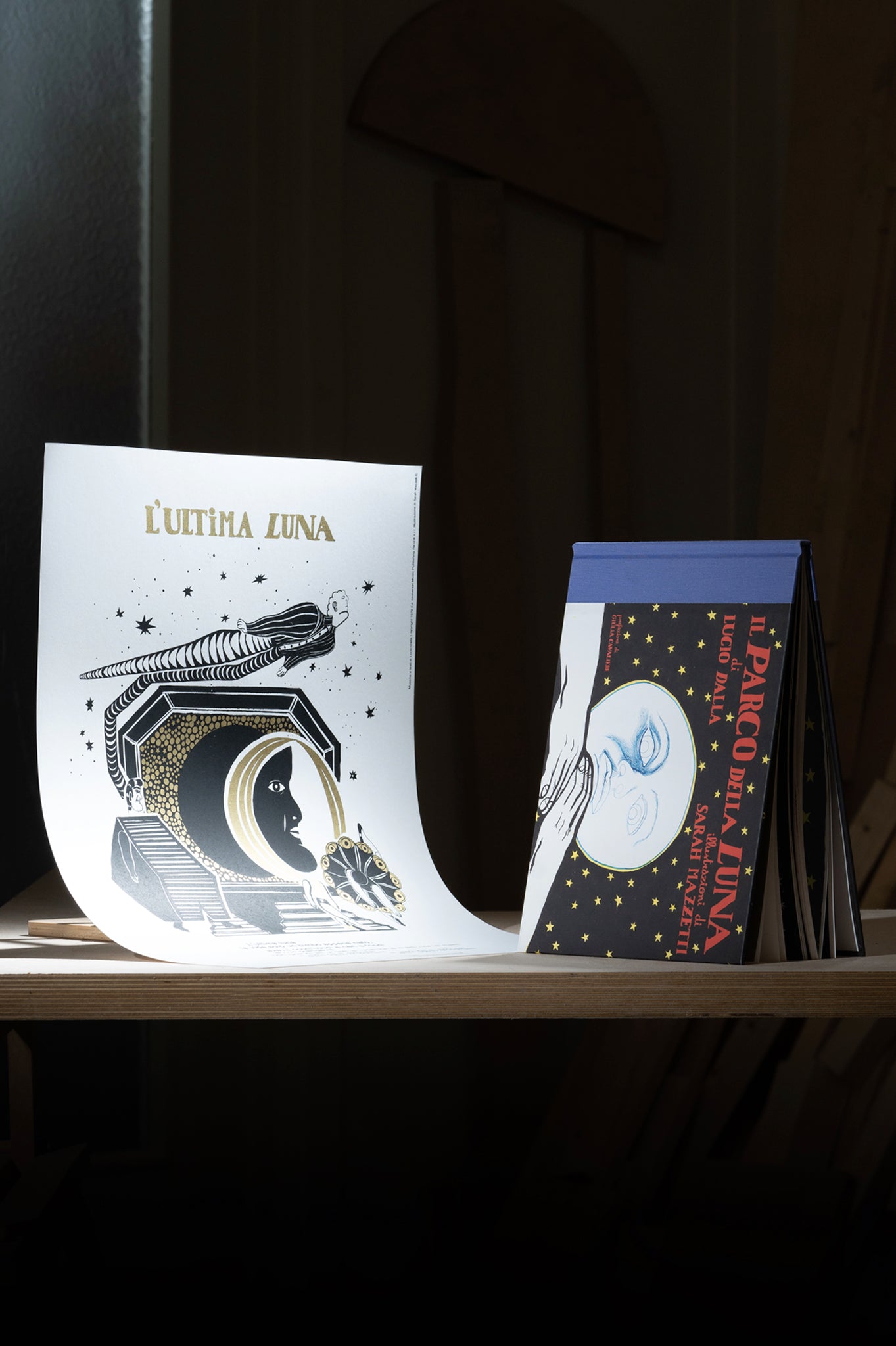 Libro Il Parco della Luna, Lucio Dalla poster serigrafia